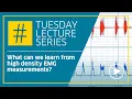 What can we learn from high density EMG measurements by Prof Dr Alessandro Del Vecchio