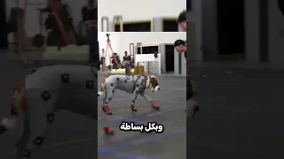 الكلاب تمثل حركات الخرفان Gaming شورتس شورت العاب Gameshorts صنع العاب 