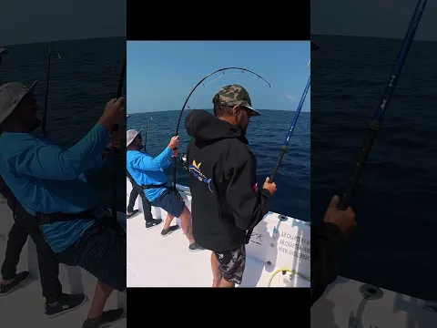 End-game on a green yellowfin tuna in South Oman.