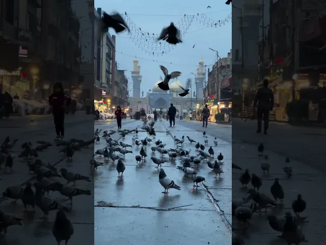 يا وجيها عند الله اشفع لنا عند الله