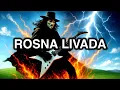 Download Lagu CRNI PAS - ROSNA LIVADA - METAL (AI)