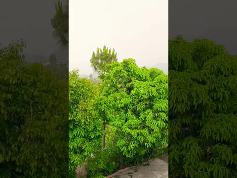 good morning guys