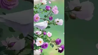 طال ليلي والليالي اذا حل لطف الله انقلبت النقم نعما وتحولت المحن منحا وأصبح العسر يسرا أقوال 