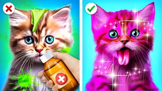Resgate extremo de pet em hospital! Gata deu à luz a 3 gatinhos por Kaboom Zoom!