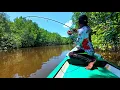 Download Lagu Babak belur joran ultralight bertubi-tubi disiksa ikan besar sampai reel menjerit keras.