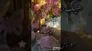 حالات واتساب صباح الخير 