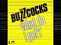 BUZZCOCKS. 1978. what do i get?
