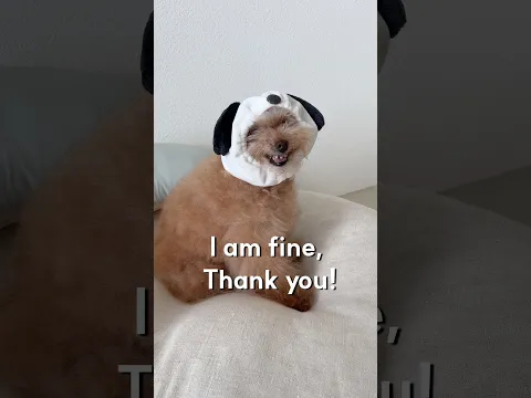 I am fine🐻