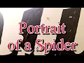 PORTRAIT OF A SPIDER is poem I wrote about a small skinny spider and the inspiration behind it