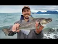 Hooking Fish at the Homer Spit Fresh Seafood Catch Cook