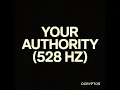Your Authority