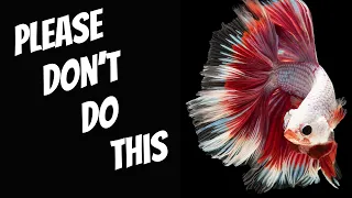 If You Keep A Betta This Way You're Doiing It Wrong