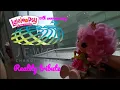 Lalaloopsy Jewel Changi Reality Tribute (Lalaloopsy 10th Anniversary)