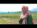 Download Lagu LAGU SUNDA MAWAR BODAS !! MAPAY JALAN SATAPAK NGAJUGJUG KA LEMBUR,, PEDESAAN JAWA BARAT