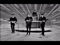 The Beatles - Nugget in a Biscuit