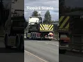 Download Lagu Töppärä Scania R | Basuri Air Horn BabyShark🦈