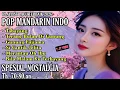 Lagu VERSI MANDARIN SPESIAL NOSTALGIA || BASS KOPLO PALING ASEKKKK SUPER TOP 2026 #viralvideo  