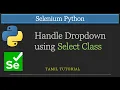 How to Handle Dropdown Using Select Class Selenium Python Tutorial in Tamil