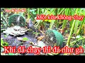 Download Lagu Anh Em nào chưa xem bẩy Quốc.Xem líp này đam mê ngay.