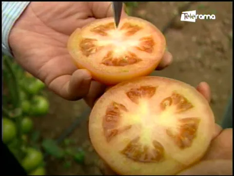 Ecuador Agropecuario 05-09-2018