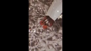 Content Media External Downloads 18174 