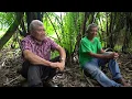 Is the Maya Forest Garden the key to sustainable agriculture