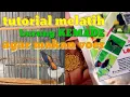 Lagu CARA MELATIH burung KEMADE || kepala merah/avatar agar makan voer
