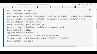 How to get Headers from the Request in ExpressJS