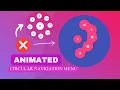 Animated Circular Navigation Menu using HTML and CSS only Simple Radial Menu