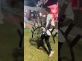 Download Lagu Wedding Firework show | shree events