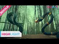 Download Lagu Highlight (Metamorphosis) Pertarungan dua ekor ular raksasa | YOUKU [INDO SUB]