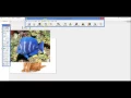 LiveCode - Mini Animal App