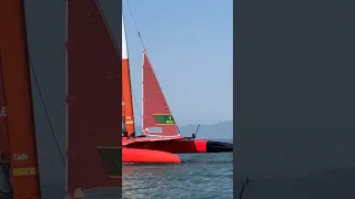 Sailing or Flying???