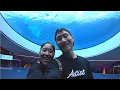 Download Lagu Honeymoon Part 1