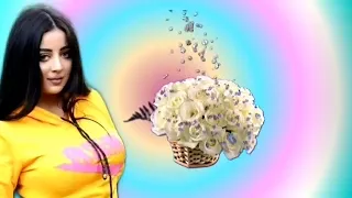جوزي جاب صاحبو بيات عندنا ليلة راس السنه وكانت احلي  جوزي جاب صاحبو بيات عندنا ليلة راس السنه وكانت احلي