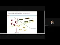 Linear Modeling Multi Class Classification