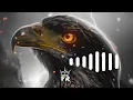 Download Lagu MOST POPULAR EAGLE RINGTONE POPULAR SONGS [NOCOPYRIGHT]