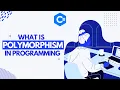 What is Polymorphism in Programming