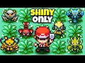 Pokemon Radical Red But I can Only Use Shiny Pokemon Hard Rom Hack
