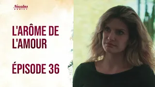 L’ARÔME DE L’AMOUR – Épisode 36 | Amour & Passion | Novelas en Français