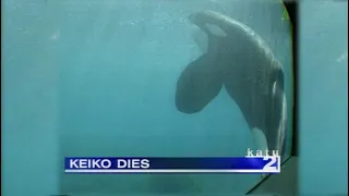 Download Keiko's Last Days - December 12, 2003 | KATU In The Archives MP3