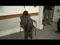 Mahoning County has rare electronics-trained K-9 for human trafficking crackdown