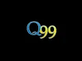 WSLQ - Q99