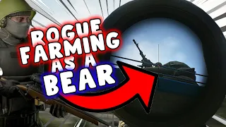 Download How I FARM The Rogues As A Bear - Escape From Tarkov MP3