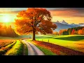 Download Lagu Muziek geneest het hart en bloedvaten, kalmerende muziek herstelt het zenuwstelsel, ontspannend