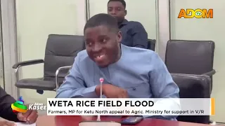 Weta Rice Field Flood: Farmers, MP for Ketu North appeal to Agric  Ministry for support in V/R