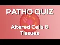Altered Cells Tissues Quiz Nursing - Introduction to Pathophysiology