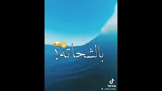 واحد اتنين تلاته اللهم لا شماته     دندنها