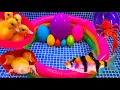 Download Lagu Colorful Surprise Eggs, Duck, Ducklings, Lobster, Snake, Koi Fish, Frog, Butterfly Fish, Goldfish