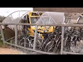 Download Lagu Passagiersbusje rijdt fietsestalling in in Bolsward
